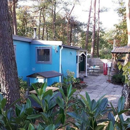 Boshuis Turquoise / Smaakvol Genieten Op De Veluwe Hoenderloo Extérieur photo