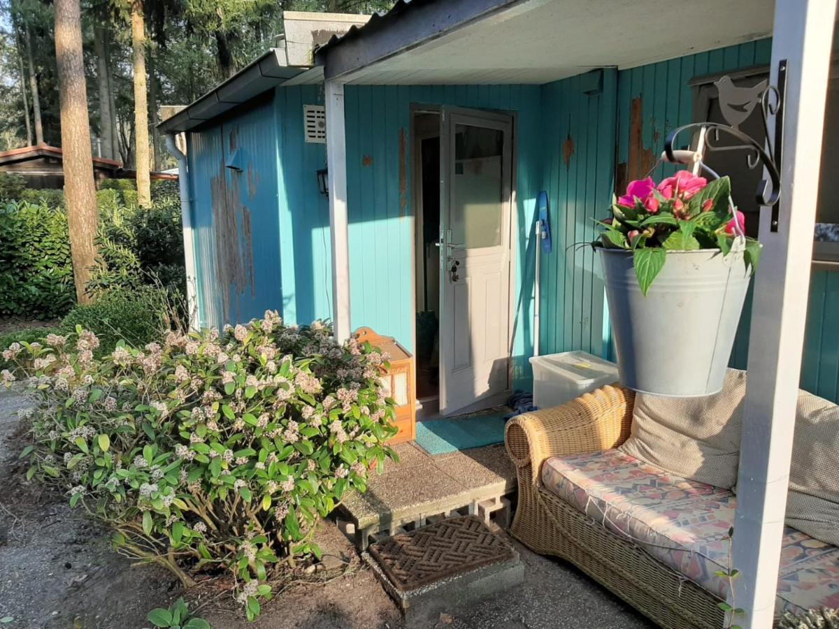 Boshuis Turquoise / Smaakvol Genieten Op De Veluwe Hoenderloo Extérieur photo