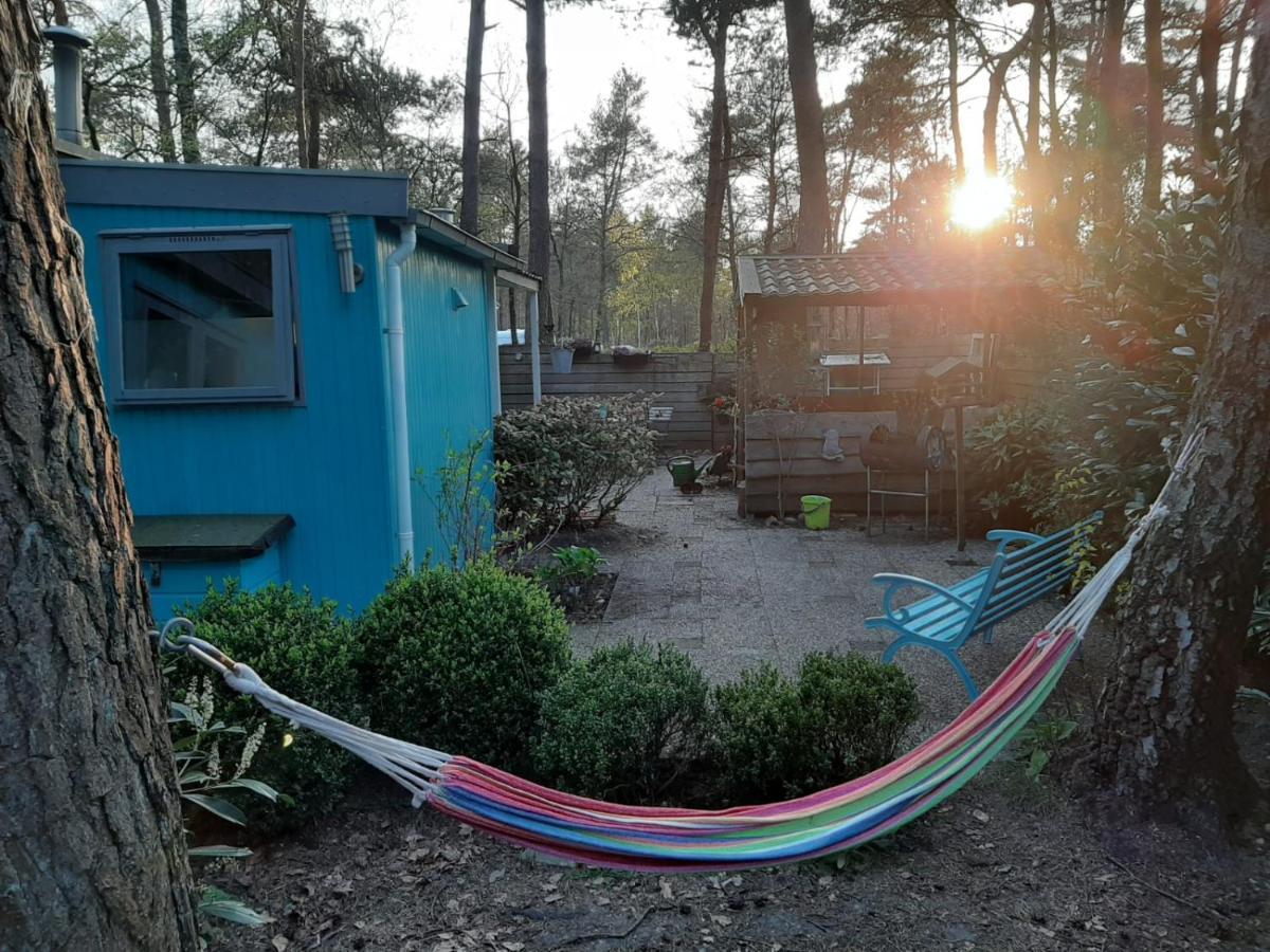 Boshuis Turquoise / Smaakvol Genieten Op De Veluwe Hoenderloo Extérieur photo
