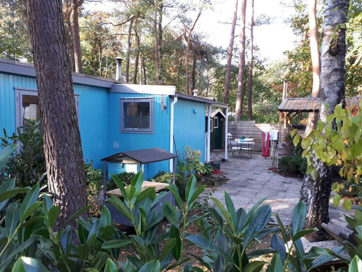 Boshuis Turquoise / Smaakvol Genieten Op De Veluwe Hoenderloo Extérieur photo