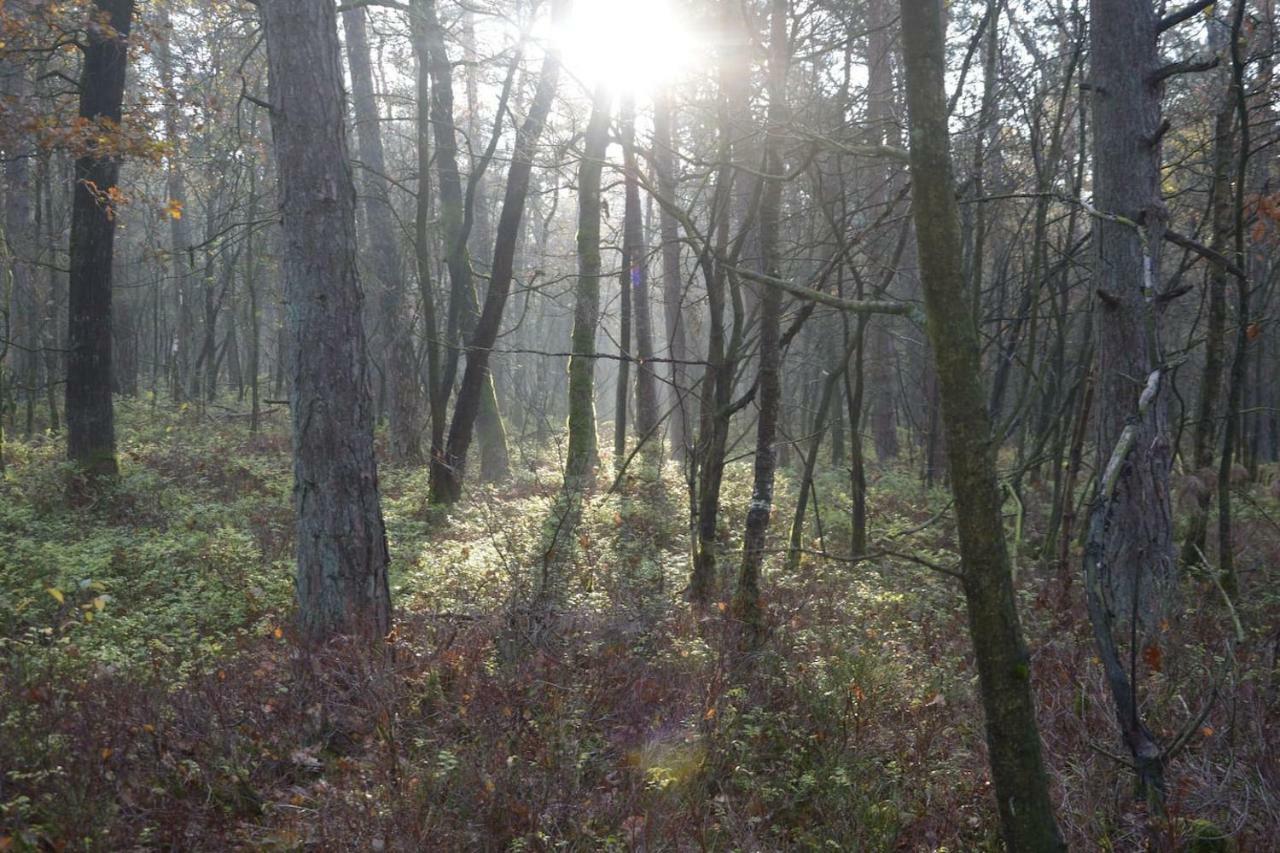 Boshuis Turquoise / Smaakvol Genieten Op De Veluwe Hoenderloo Extérieur photo