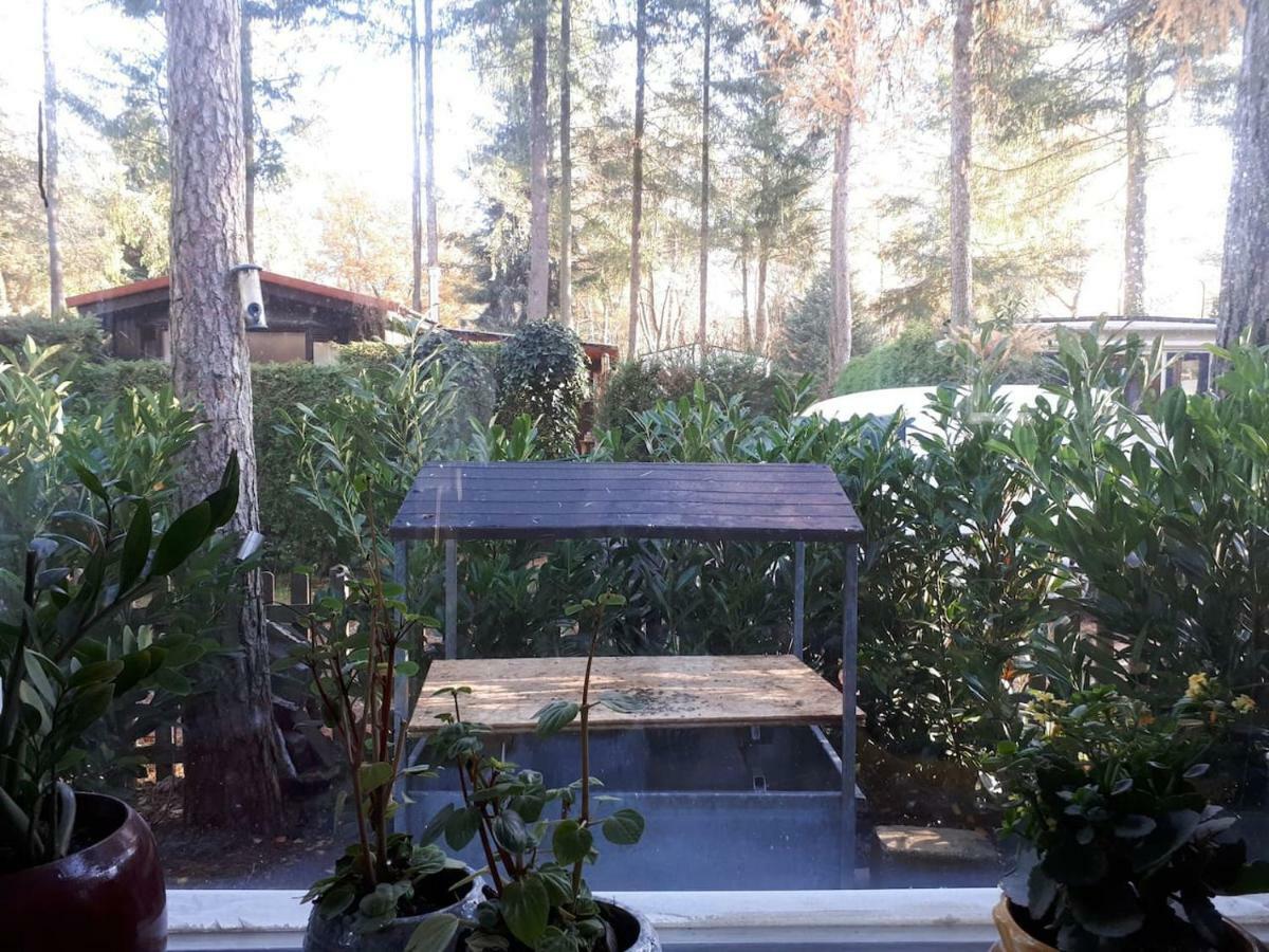 Boshuis Turquoise / Smaakvol Genieten Op De Veluwe Hoenderloo Extérieur photo