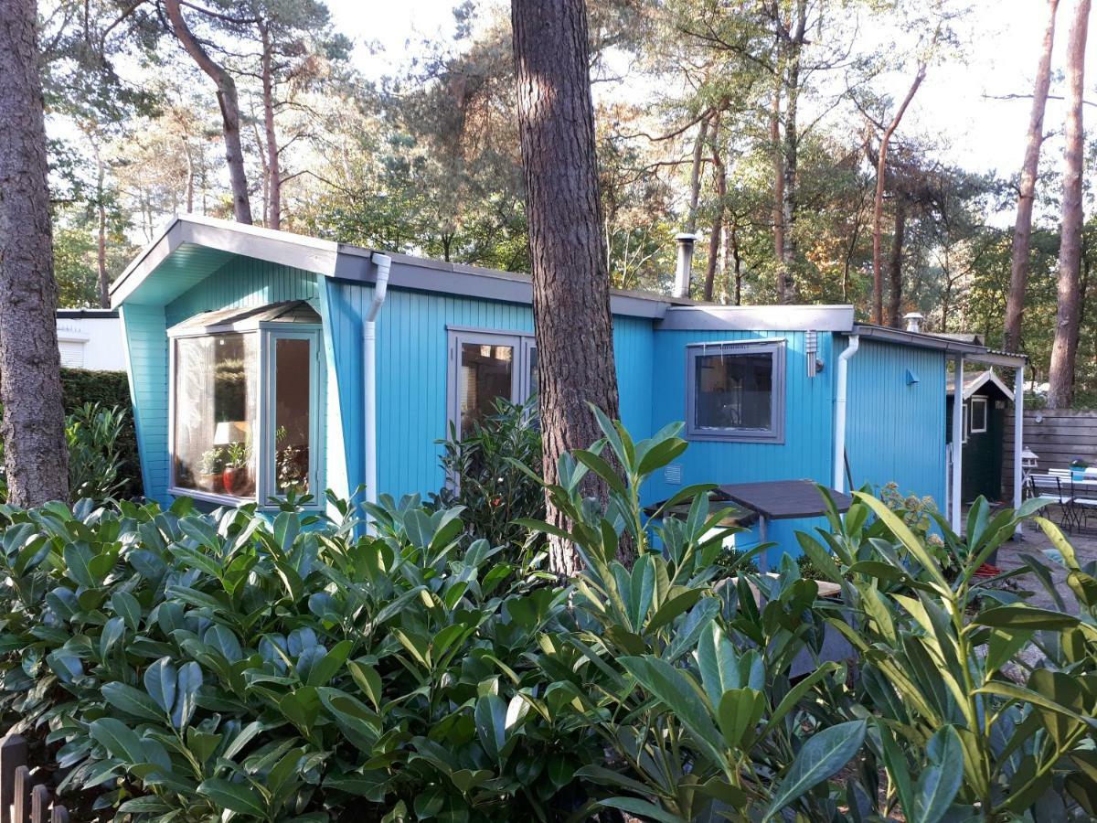 Boshuis Turquoise / Smaakvol Genieten Op De Veluwe Hoenderloo Extérieur photo