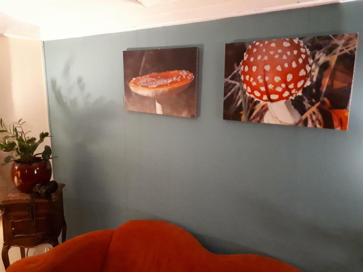 Boshuis Turquoise / Smaakvol Genieten Op De Veluwe Hoenderloo Extérieur photo