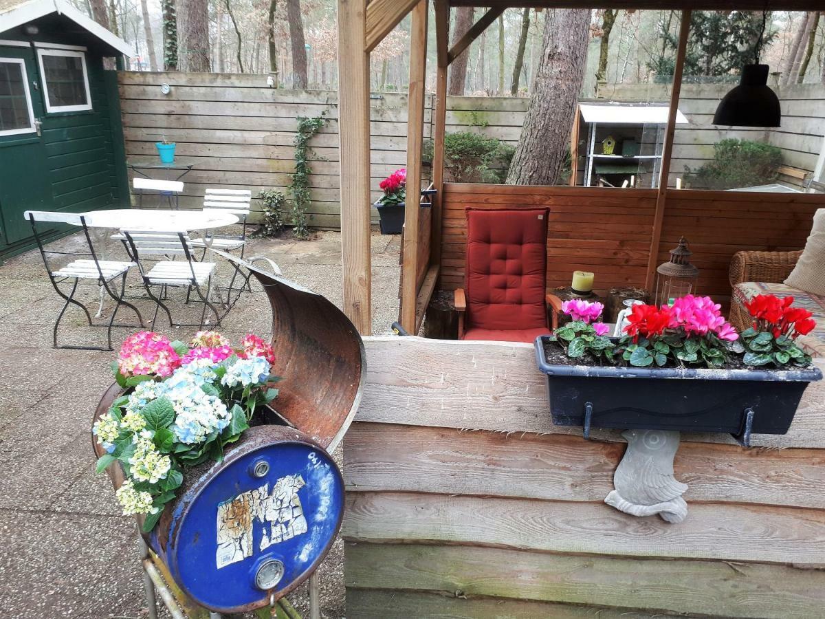 Boshuis Turquoise / Smaakvol Genieten Op De Veluwe Hoenderloo Extérieur photo